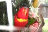 thump_2020.08.26-17.54.34-0