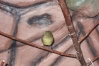 thump_2020.08.26-17.58.52-0