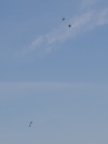 thump_2022.07.02-08.03.38-0